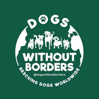 Dogs Without Borders