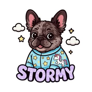 Stormy the Fluffy Frenchie
