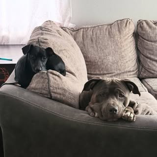 Kano & Rico