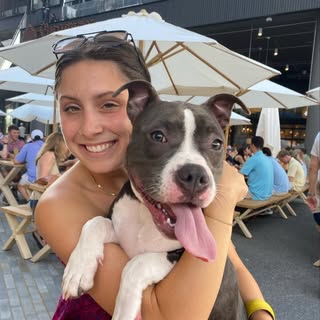 Avery 🐶
