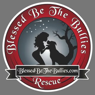 Blessed Be The Bullies
