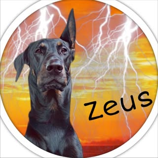 𝐙𝐞𝐮𝐬  ‘Ｇｒｅｅｋ Ｇｏｄ ｏｆ ｔｈｅ Ｓｋｙ’ ⚡️ 🌩️