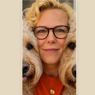 💙 Ollie & 🩵 Mylo Labradoodles v Marien&Jan🤎Fudge v Noa