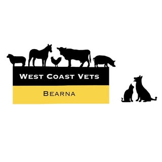 West Coast Vets