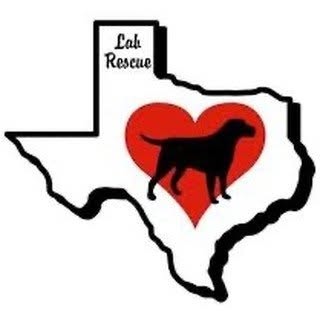 Heart of Texas Labrador Rescue