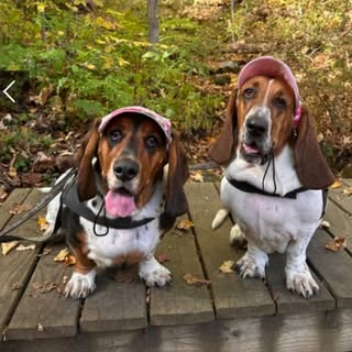 Dolly Mae and Little Rebel