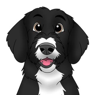 Motas The Goldendoodle