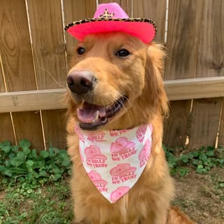@skyebrightbandanas
