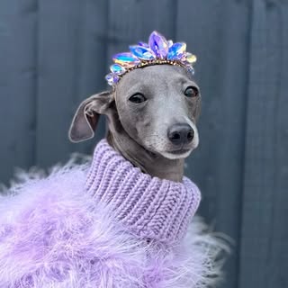 Queenie Minnie