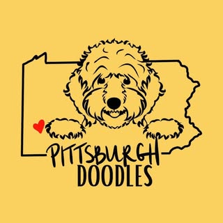 Pittsburgh Doodles