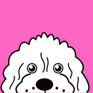 International Doodle Dog Day