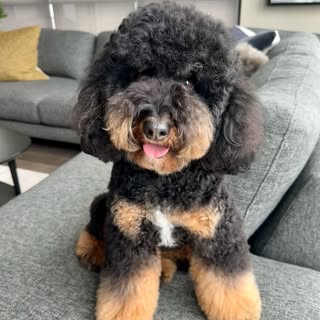 Zoey