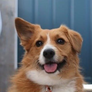Miss Maisy