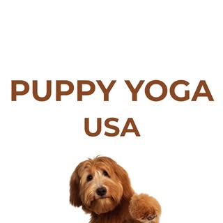 Puppy Yoga | NYC • Chicago • SF • Seattle