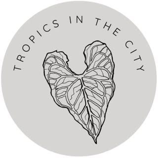 @tropicsinthecity_