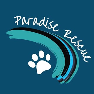 Paradise Rescue