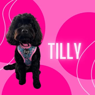 Tilly