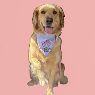 SuzieQ 🌸🐾