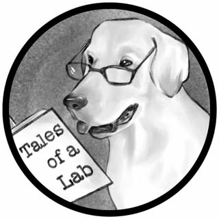 Tales Of A Lab