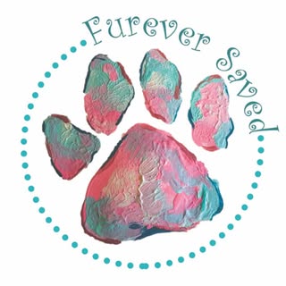 Furever Saved 🐾