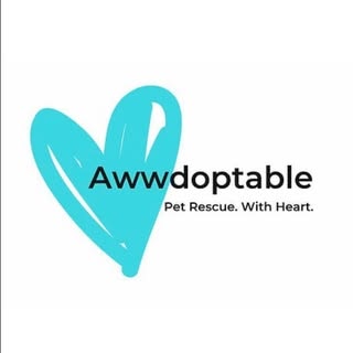 Awwdoptable, Inc.