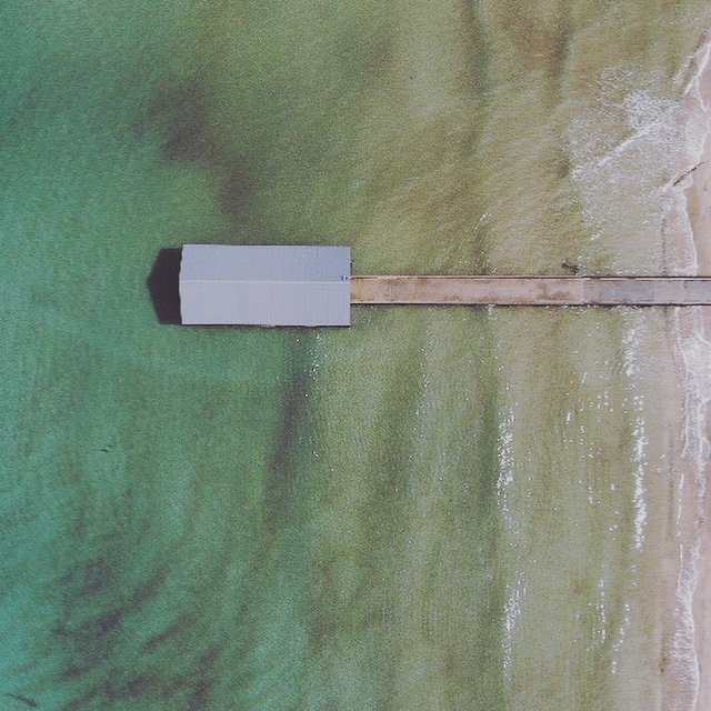𝓑𝓸𝓫𝓫𝓲𝓮 🐶🐾