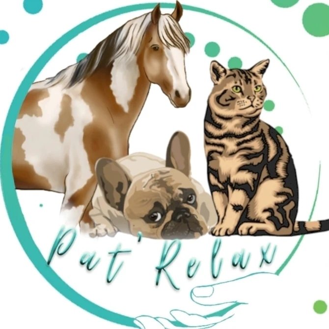 @pat_relax_osteopathe_animalier