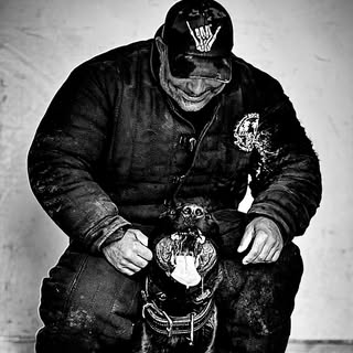 Neil Soderstrom
