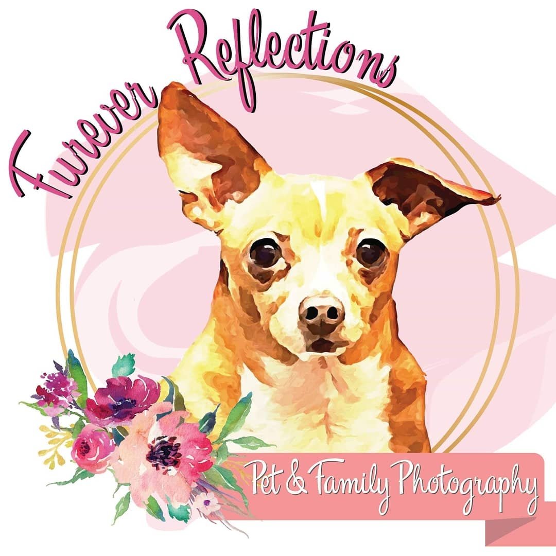 @furever_reflections