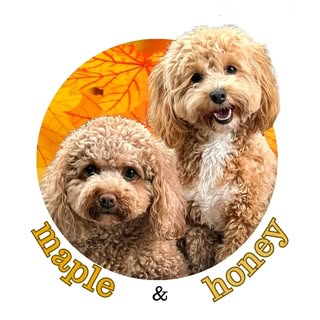 𝕄𝕒𝕡𝕝𝕖🍁 & ℍ𝕠𝕟𝕖𝕪🍯 𝕄𝕒𝕝𝕥𝕚𝕡𝕠𝕠𝕤