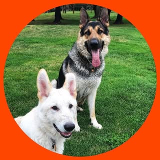 Vasa & Yeti