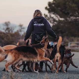 Dallas Hamilton • Knoxville, TN Sport Dog Training