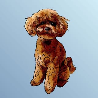 Jasper Teacup Goldendoodle