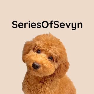 Sevyn Mini Goldendoodle | Content Creator | Dog mom Lifestyle