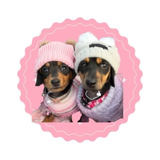 Bambi and Nala