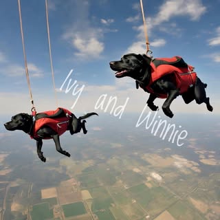 Ivy & Winnie