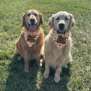 Golden Duo Ridge & Sawyer