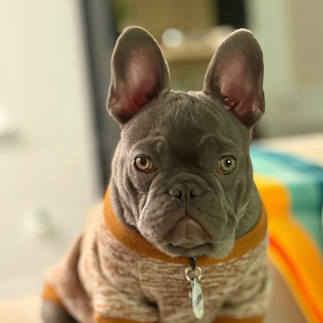 Blu