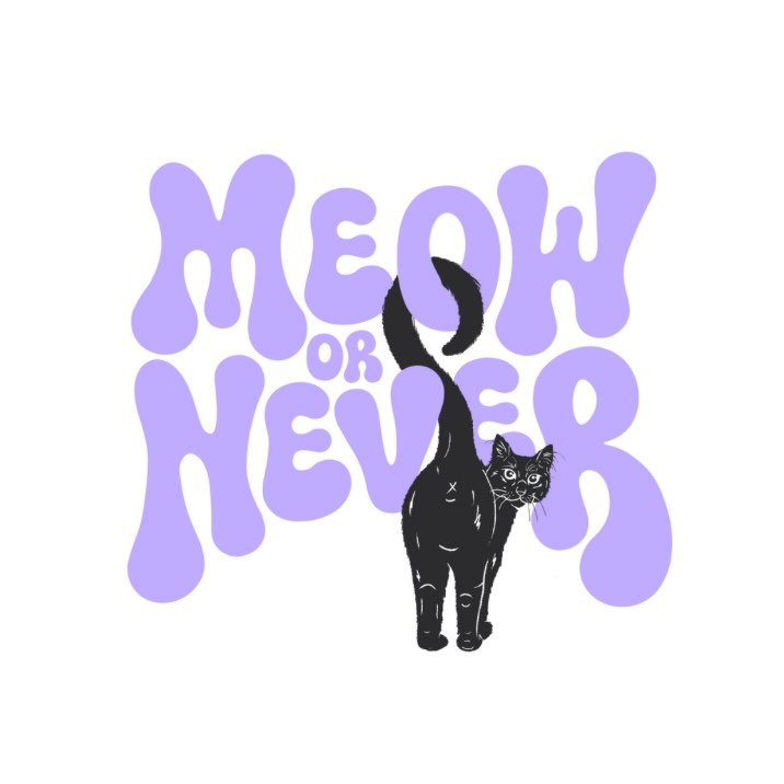 Meow or Never