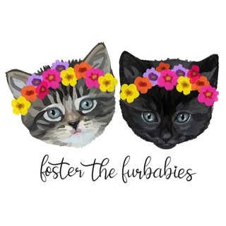 Foster the Furbabies