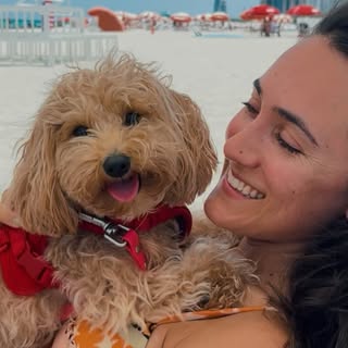 Mila the toy doodle 🧸 dog mom travel + lifestyle