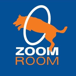 Zoom Room CHICAGO 🐶