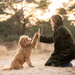 𝗧𝗲𝗱𝗱𝘆 🐶