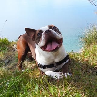 Super Duper Cooper