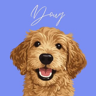 Doug | Toronto Goldendoodle