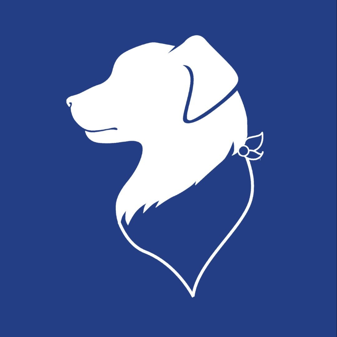 @dogbandanaco