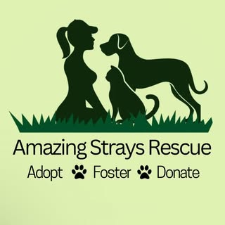 Amazing Strays Rescue