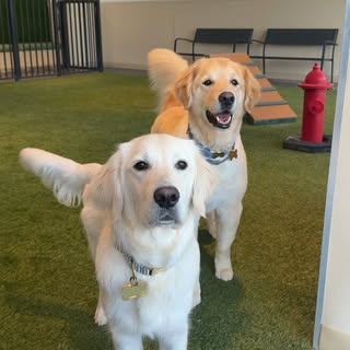 Charlie & Finn