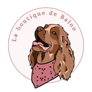 Léa & Baloo - colliers, harnais, snoods, accessoires pour chien