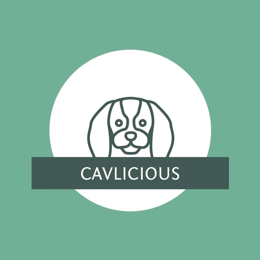 @cav.licious